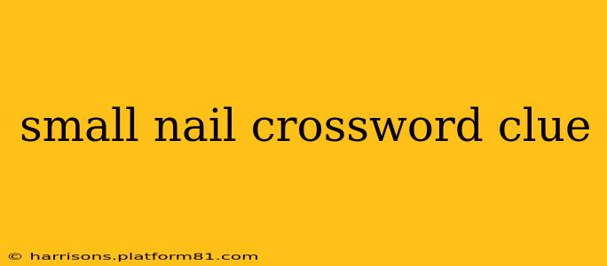 small nail crossword clue
