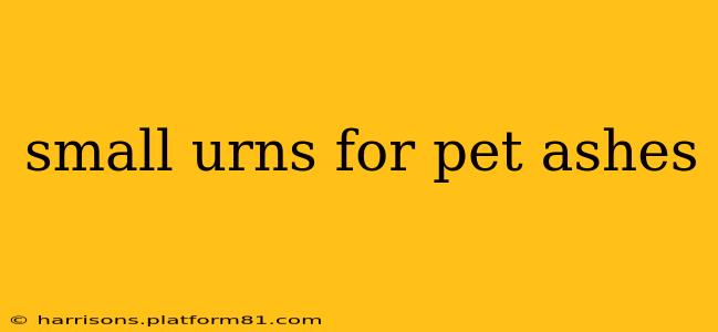 small urns for pet ashes