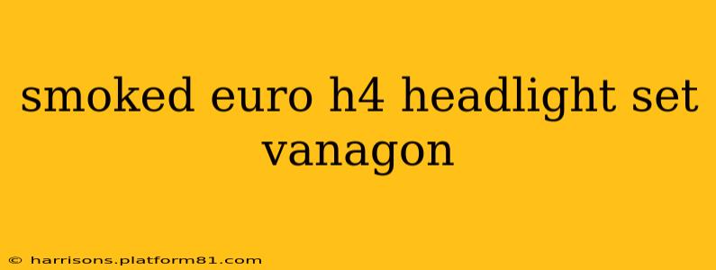 smoked euro h4 headlight set vanagon