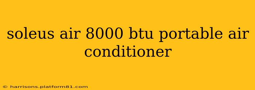 soleus air 8000 btu portable air conditioner