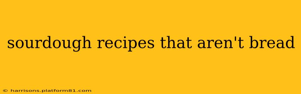 sourdough recipes that aren't bread