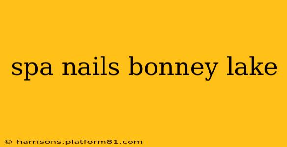 spa nails bonney lake