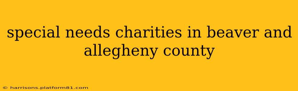 special needs charities in beaver and allegheny county