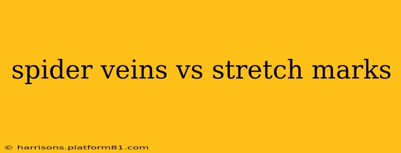 spider veins vs stretch marks