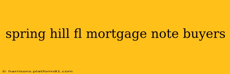 spring hill fl mortgage note buyers