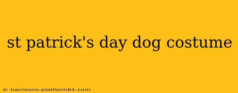 st patrick's day dog costume