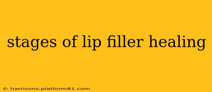 stages of lip filler healing