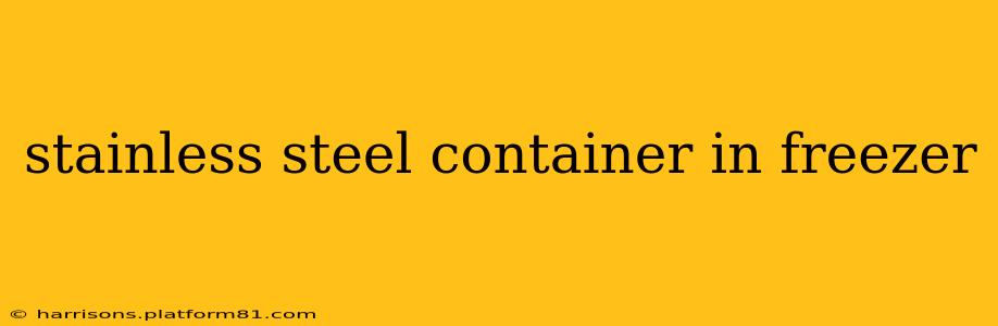 stainless steel container in freezer