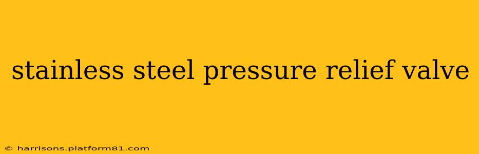 stainless steel pressure relief valve