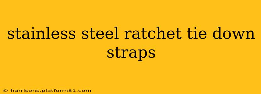 stainless steel ratchet tie down straps