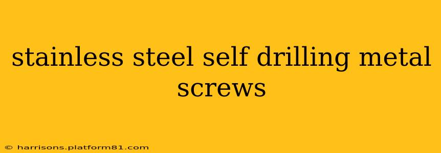 stainless steel self drilling metal screws