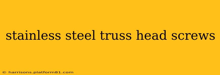 stainless steel truss head screws
