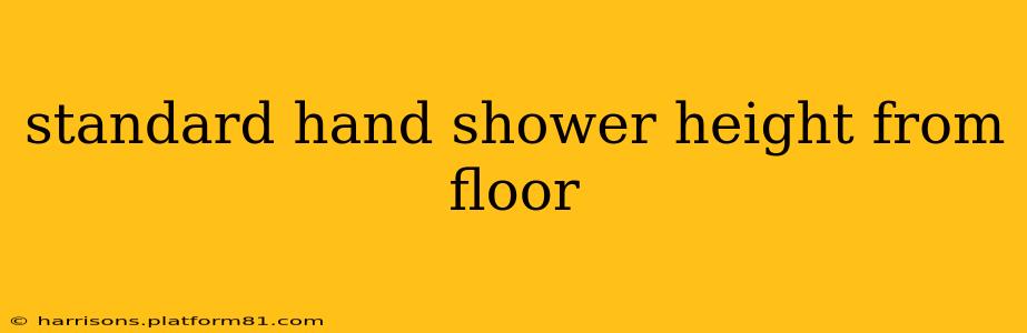 standard hand shower height from floor