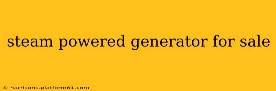 steam powered generator for sale