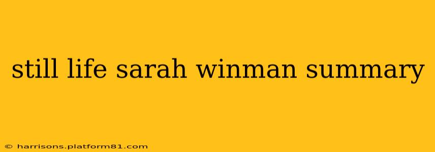 still life sarah winman summary