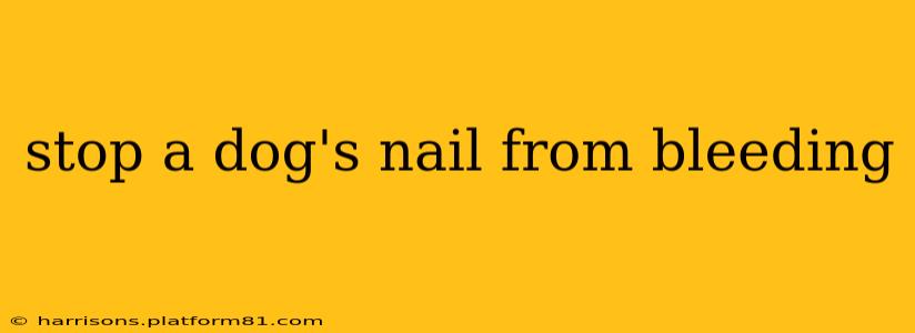 stop a dog's nail from bleeding