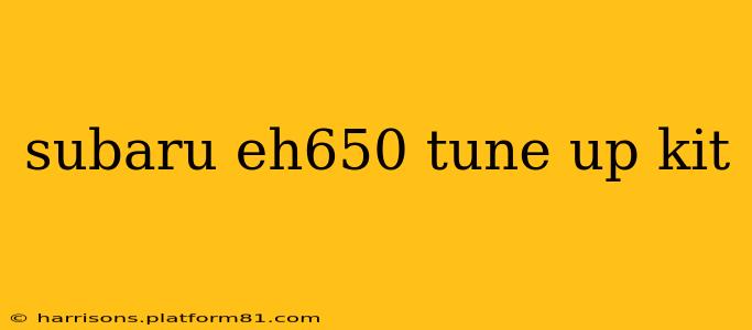 subaru eh650 tune up kit