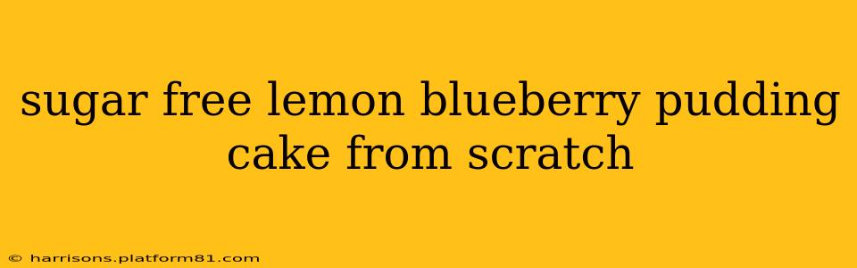 sugar free lemon blueberry pudding cake from scratch