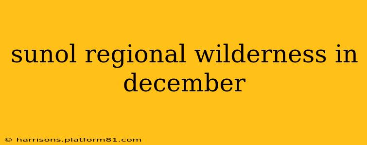 sunol regional wilderness in december