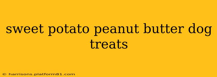 sweet potato peanut butter dog treats