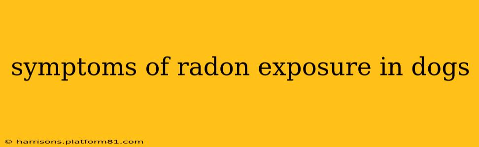 symptoms of radon exposure in dogs