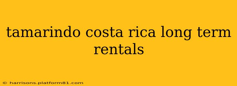 tamarindo costa rica long term rentals