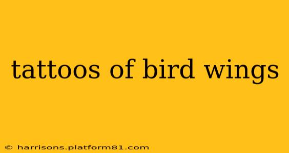 tattoos of bird wings