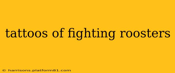 tattoos of fighting roosters