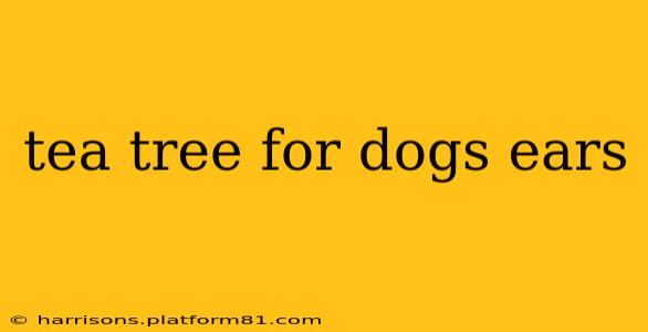 tea tree for dogs ears