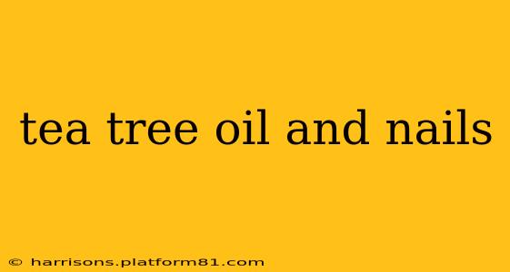 tea tree oil and nails