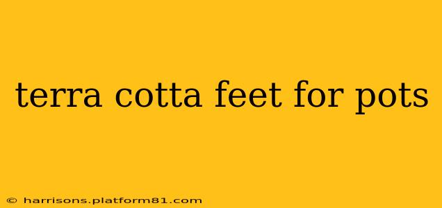 terra cotta feet for pots