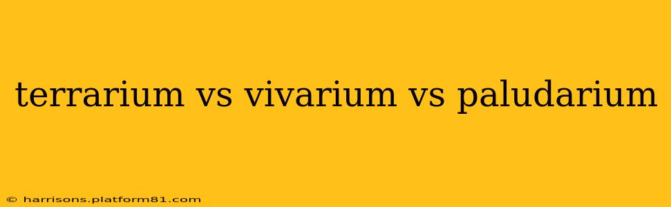 terrarium vs vivarium vs paludarium