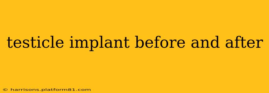 testicle implant before and after