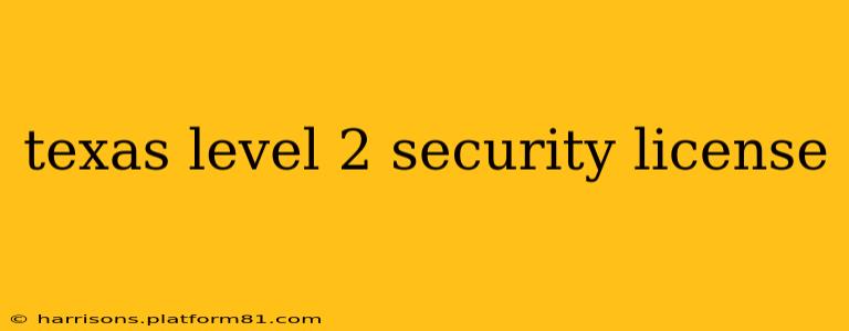 texas level 2 security license