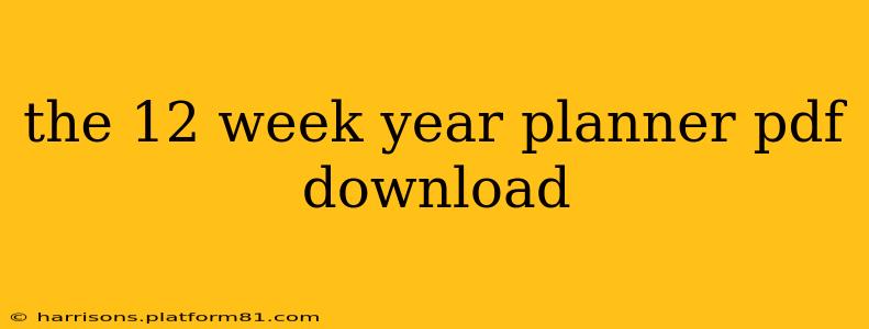 the 12 week year planner pdf download