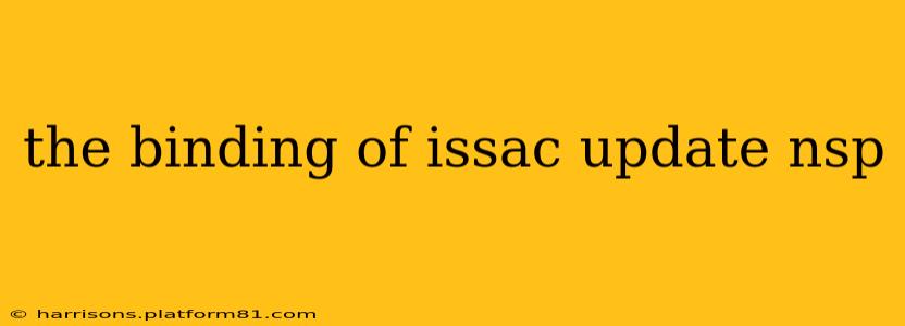 the binding of issac update nsp