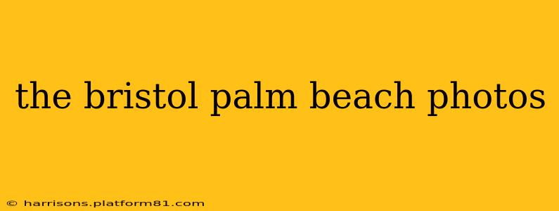 the bristol palm beach photos