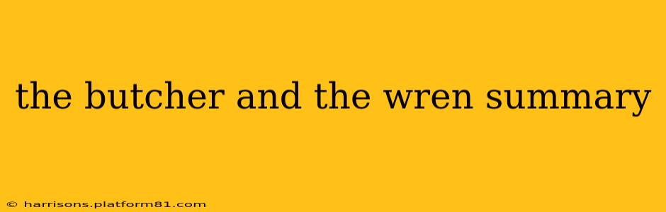 the butcher and the wren summary