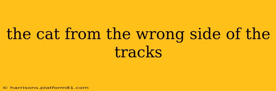 the cat from the wrong side of the tracks