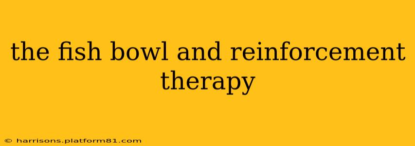 the fish bowl and reinforcement therapy