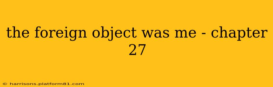 the foreign object was me - chapter 27