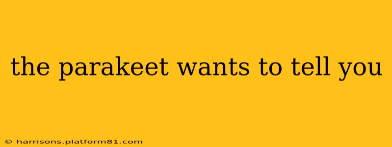 the parakeet wants to tell you