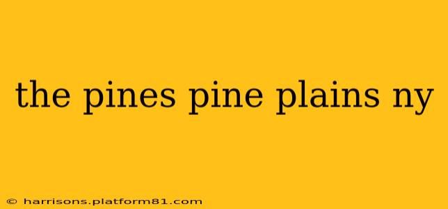 the pines pine plains ny