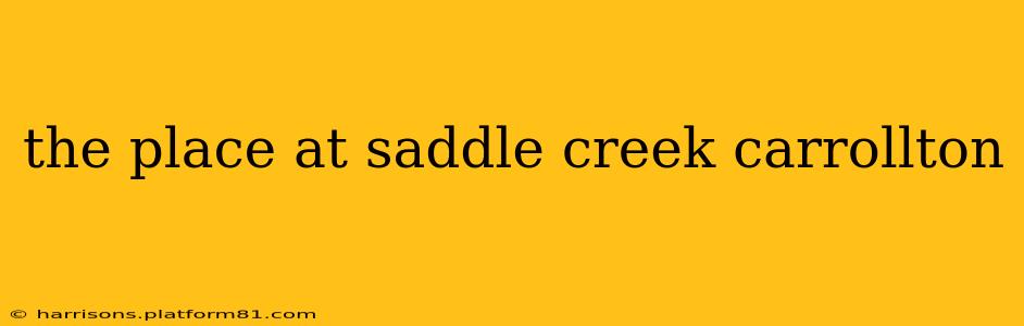 the place at saddle creek carrollton