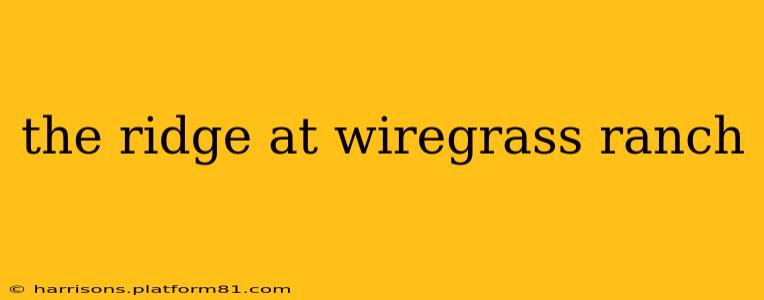 the ridge at wiregrass ranch