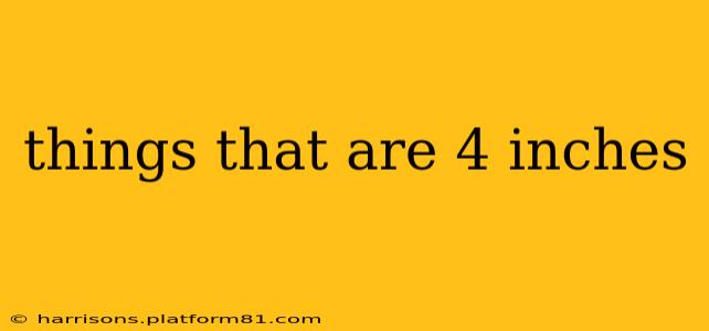 things that are 4 inches