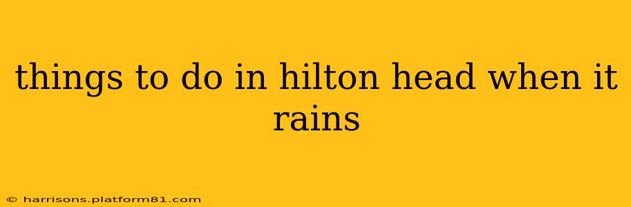 things to do in hilton head when it rains