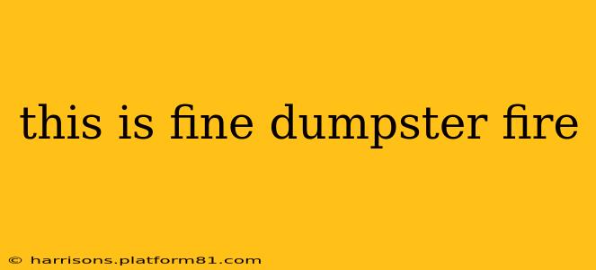 this is fine dumpster fire