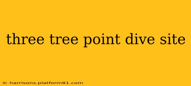 three tree point dive site