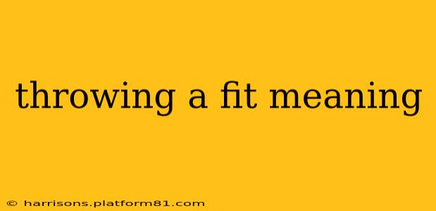 throwing a fit meaning